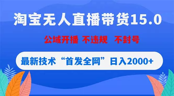 淘宝无人直播带货15.0，不封号，不违规，公域玩法，首发全网日入2000+-星空网创资源