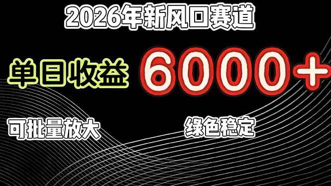 （17135期）2026年新风口赛道，当日6000+以上，可批量放大，月收入20万+，长期绿色稳定的项目-星空网创资源
