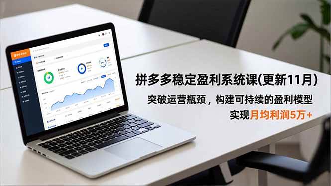 (16641期)拼多多稳定盈利系统课(更新11月),突破运营瓶颈,构建可持续的盈利模型,实现月均利润5万+-星空网创资源
