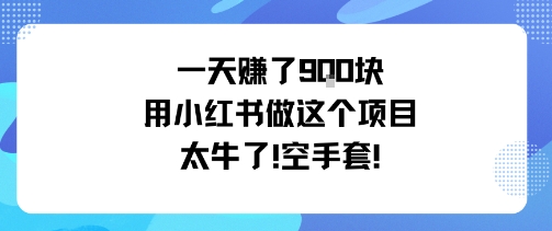 一天挣了9张用小红书做这个项目太牛了，空手套-星空网创资源