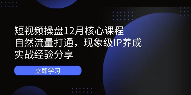 短视频操盘12月核心课程:自然流量打通,现象级IP养成,实战经验分享-星空网创资源