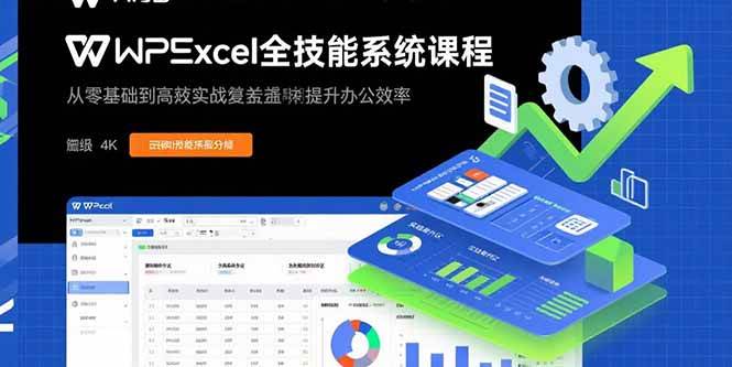 (15873期)WPS Excel全技能系统课程:从零基础到高阶实战全覆盖,全面提升办公效率-星空网创资源
