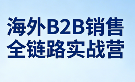 雨哥·海外B2B销售全链路实战营-星空网创资源