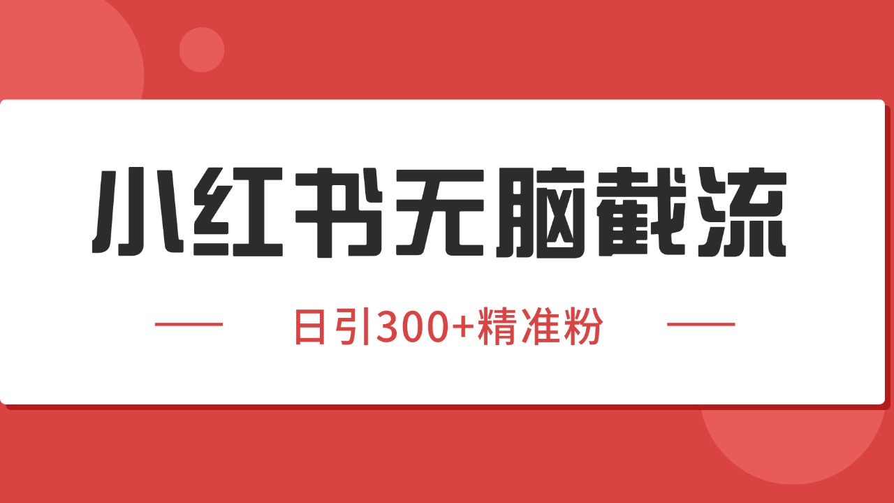 小红书截流同行客源,独家野路子获客玩法 日引200+暴力获客-星空网创资源