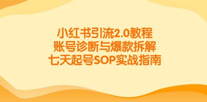 小红书引流2.0教程,账号诊断与爆款拆解,七天起号SOP实战指南-星空网创资源