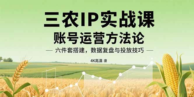 (15864期)三农IP实战课:账号运营方法论,六件套搭建,数据复盘与投放技巧-星空网创资源