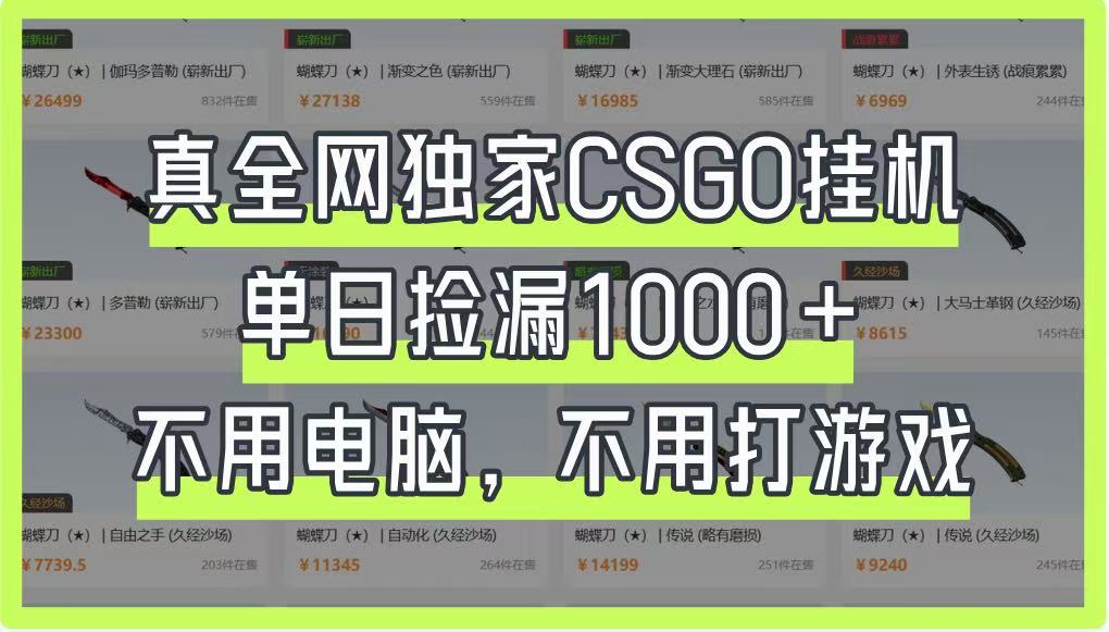 真全网独家CSGO挂机,单日捡漏1000+,不用电脑,不用养号-星空网创资源