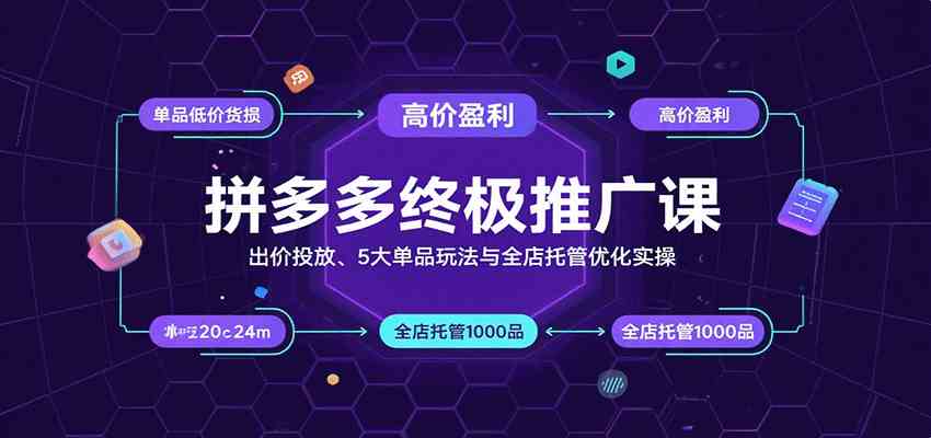 拼多多终极推广课:出价投放、5大单品玩法与全店托管优化实操-星空网创资源