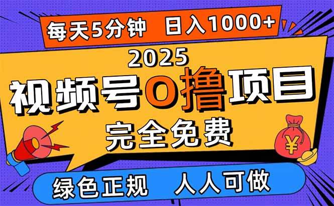 (16388期)2025视频号0撸项目,5分钟一个号,日入1000+,人人可做-星空网创资源