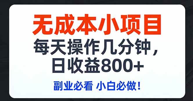 （17447期）无成本小项目,每天操作几分钟,日收益800+ 副业必看 小白必做！-星空网创资源