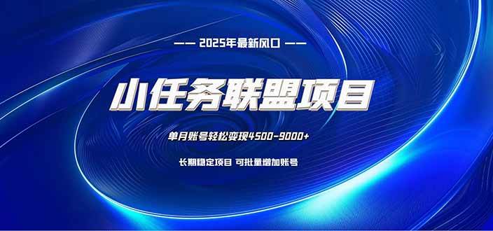 (16521期)小任务联盟项目:一台电脑每天只需10分钟,轻松简单稳定-星空网创资源