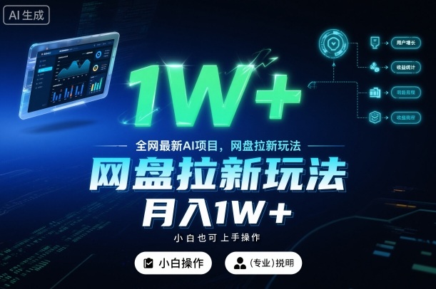 全网最新AI项目，网盘拉新玩法，小白也可上手操作，月入1W+【揭秘】-星空网创资源