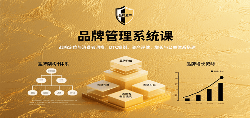 品牌管理系统课：战略定位与消费者洞察，DTC案例、资产评估，增长与公关体系搭建-星空网创资源