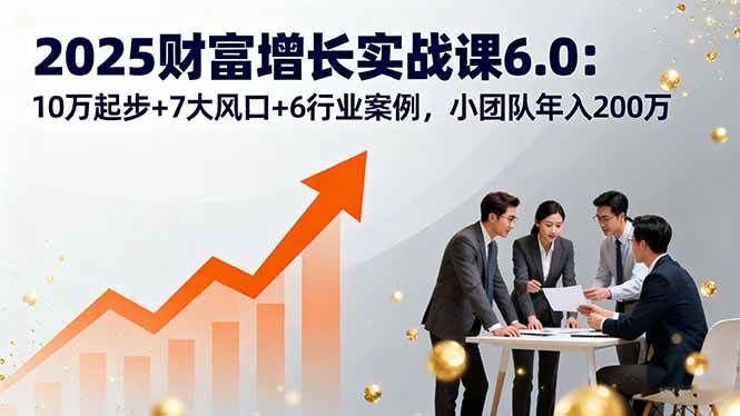 (16004期)2025财富增长实战课6.0:10万起步+7大风口+6行业案例,小团队年入200万-星空网创资源