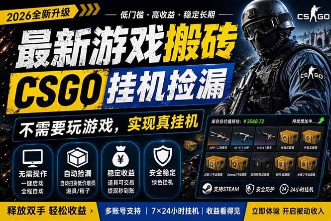 最新游戏搬砖,CSGO纯挂机,不需要玩游戏,实现真挂机,月入1W+,五一小高峰上车可吃肉,…-星空网创资源