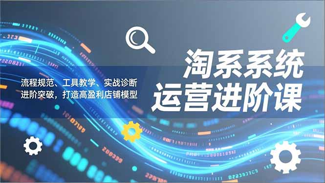 淘系系统运营进阶课2.0,流程规范、工具教学、实战诊断,进阶突破,打造高盈利店铺模型-星空网创资源
