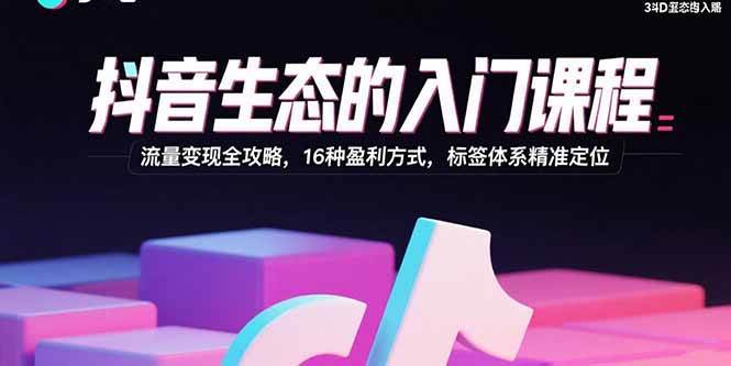 （15856期）抖音生态的入门课程：流量变现全攻略，16种盈利方式，标签体系精准定位-星空网创资源