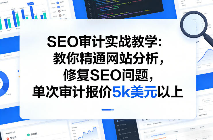 SEO审计实战教学:教你精通网站分析,修复SEO问题,单次审计报价5k美元以上-星空网创资源