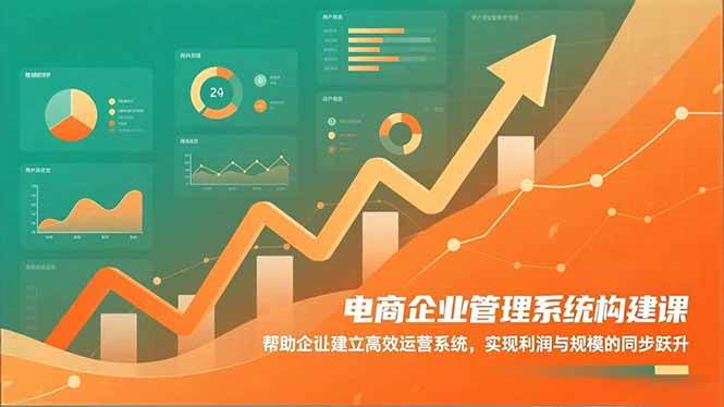 (16643期)电商企业管理系统构建课:帮助企业建立高效运营系统,实现利润与规模的同步跃升-星空网创资源