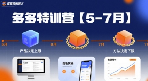 多多特训营，产品决定上限，方法决定下限，各种玩法技巧落地实操(更新)-星空网创资源