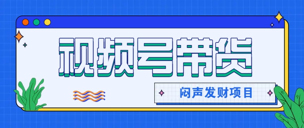 微信视频号带货项目，轻松日赚赚2000+，这个挣钱入口很多伙伴都在闷声发财-星空网创资源