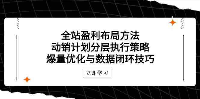全站盈利布局方法:动销计划分层执行策略,爆量优化与数据闭环技巧-星空网创资源