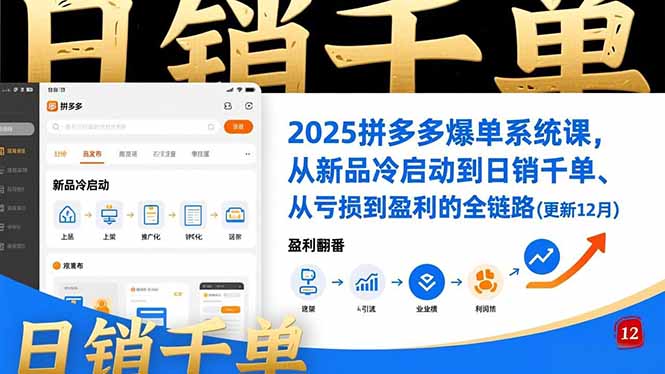 2025拼多多爆单系统课,从新品冷启动到日销千单、从亏损到盈利的全链路(更新12月-星空网创资源