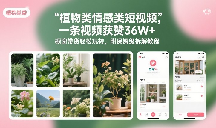 植物类情感类短视频，一条视频获赞36W+，橱窗带货轻松玩转，附保姆级拆解教程-星空网创资源