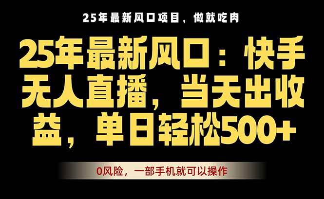（16007期）25年最新无人直播玩法，当天秒出单，一部手机就可操作-星空网创资源