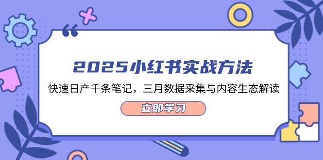 2025小红书实战方法，快速日产千条笔记，三月数据采集与内容生态解读-星空网创资源