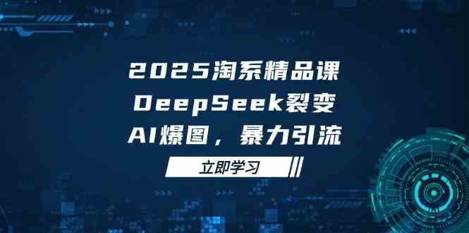 2025无界精品课,DeepSeek裂变,AI爆图,暴力引流助力淘系运营-星空网创资源