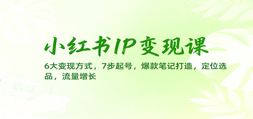 小红书IP变现课：6大变现方式，7步起号，爆款笔记打造，定位选品，流量增长-星空网创资源