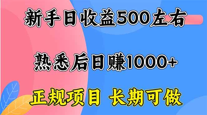 (16132期)新手日收益500+ 正规项目 长期可做-星空网创资源