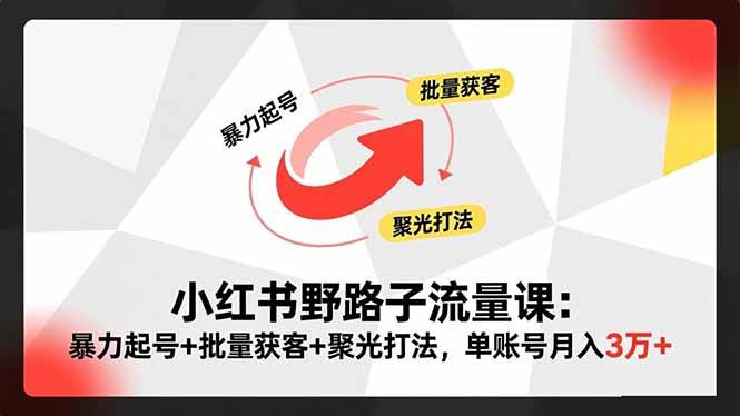（16513期）小红书野路子流量课：暴力起号+批量获客+聚光打法，单账号月入3万+-星空网创资源