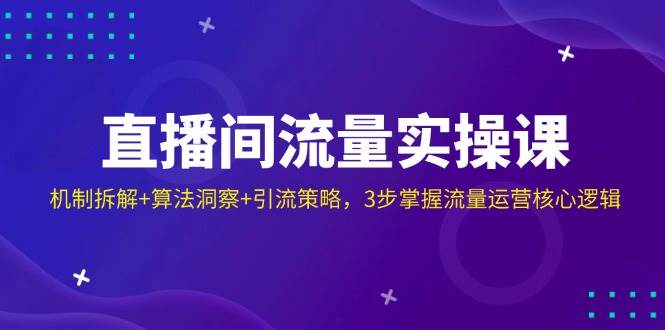 直播间流量实操课:机制拆解+算法洞察+引流策略,3步掌握流量运营核心逻辑-星空网创资源