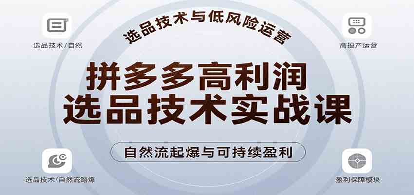 拼多多高利润选品技术实战课，手把手教学自然流高投产起爆，实现低风险可持续盈利-星空网创资源