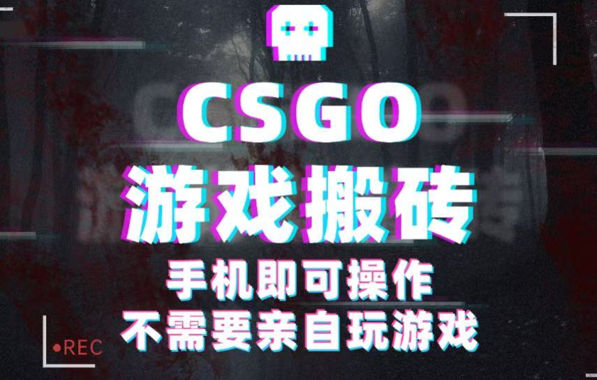 CSGO游戏挂机捡漏，单日扫货500+，年底小高峰上车可吃肉，手机即可操作兼职副业-星空网创资源