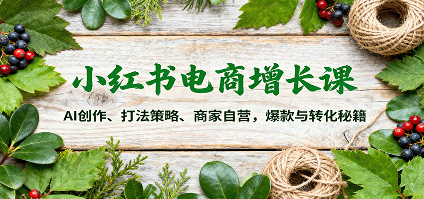 小红书电商增长课：AI创作、打法策略、商家自营，爆款与转化秘籍-星空网创资源