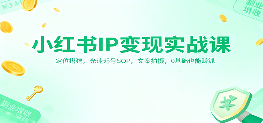 小红书IP变现实战课：定位搭建，光速起号SOP，文案拍摄，0基础也能赚钱-星空网创资源