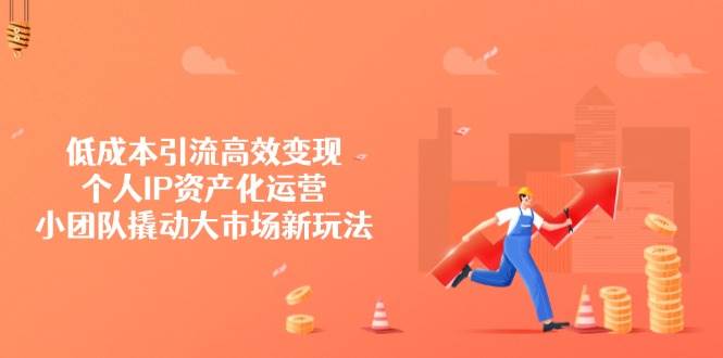 低成本引流高效变现,个人IP资产化运营,小团队撬动大市场新玩法-星空网创资源