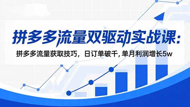 (16563期)拼多多流量双驱动实战课:拼多多流量获取技巧,日订单破千,单月利润增长5w-星空网创资源