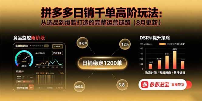 (15850期)拼多多日销千单高阶玩法:从选品到爆款打造的完整运营链路(8月更新)-星空网创资源